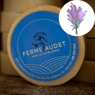 Savon en barre LAVANDE