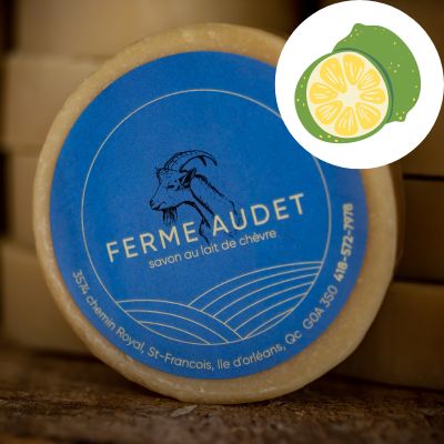 Savon en barre LIME