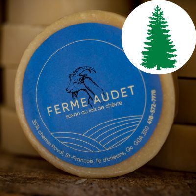 Savon en barre SAPIN