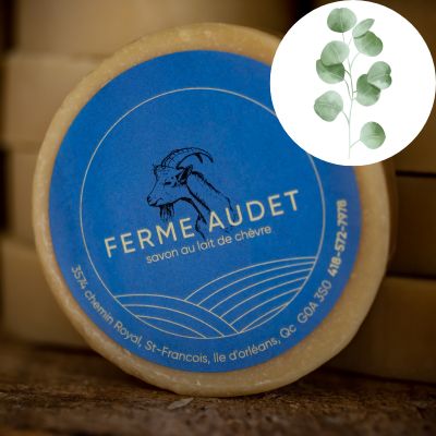 Savon en barre EUCALYPTUS