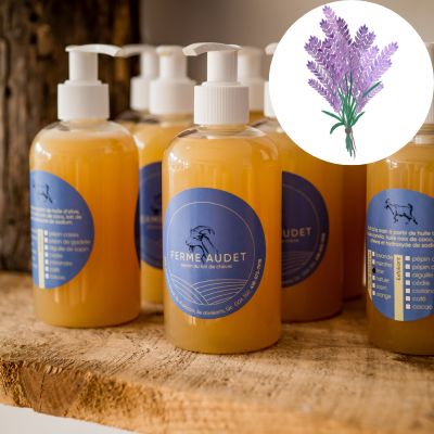 Savon Liquide LAVANDE