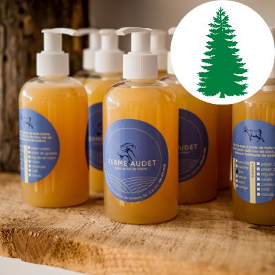 Savon Liquide SAPIN